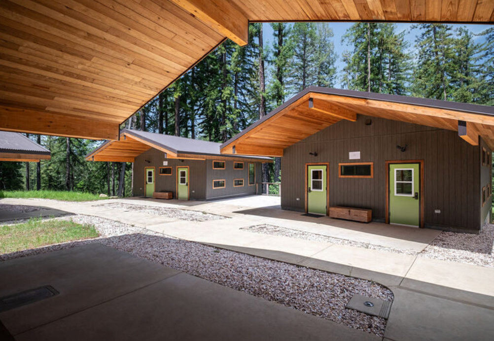 Bunkhouses with green doors in a forest setting