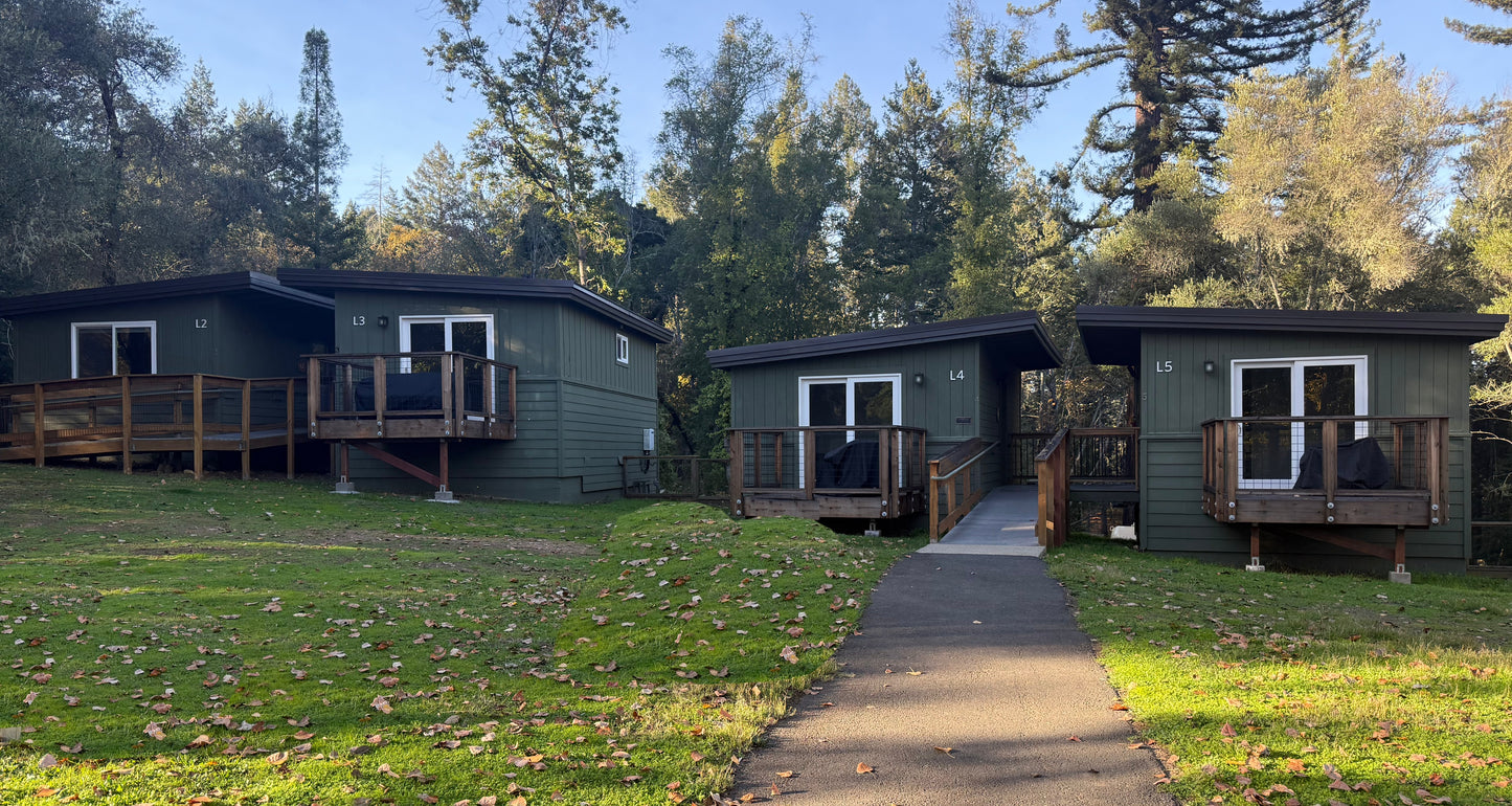 Three green Lakeside cabins with wooden decks in a forested area