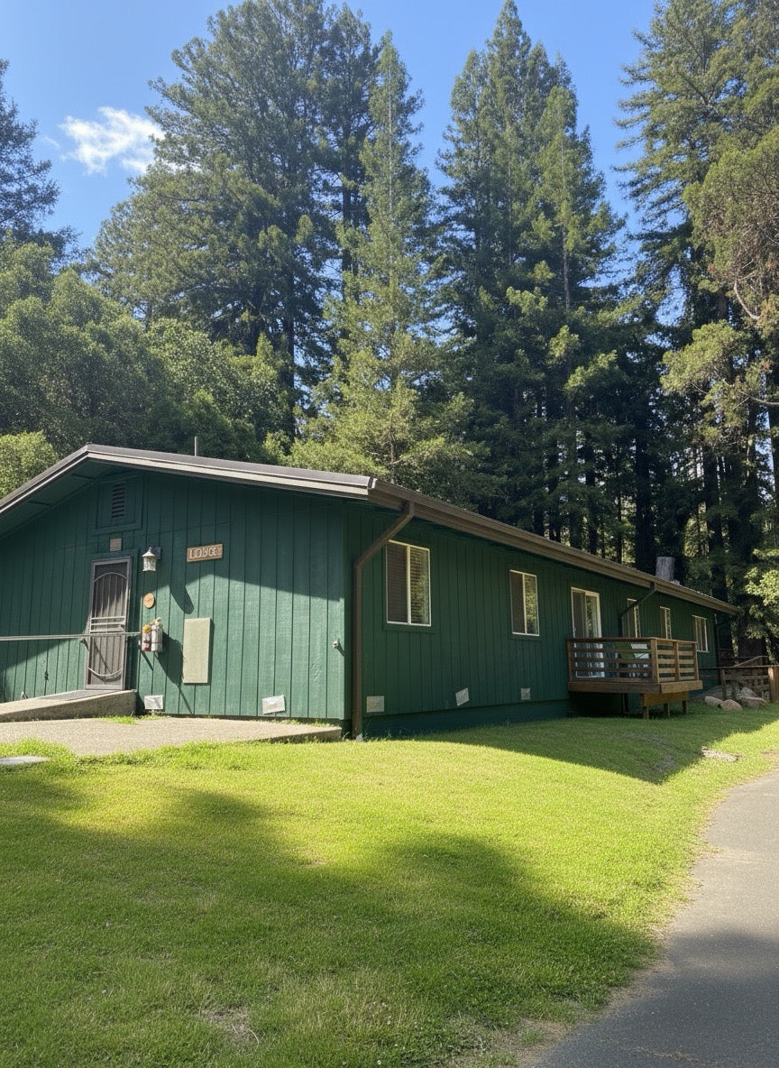 Green lodge surrounded by trees on a sunny day