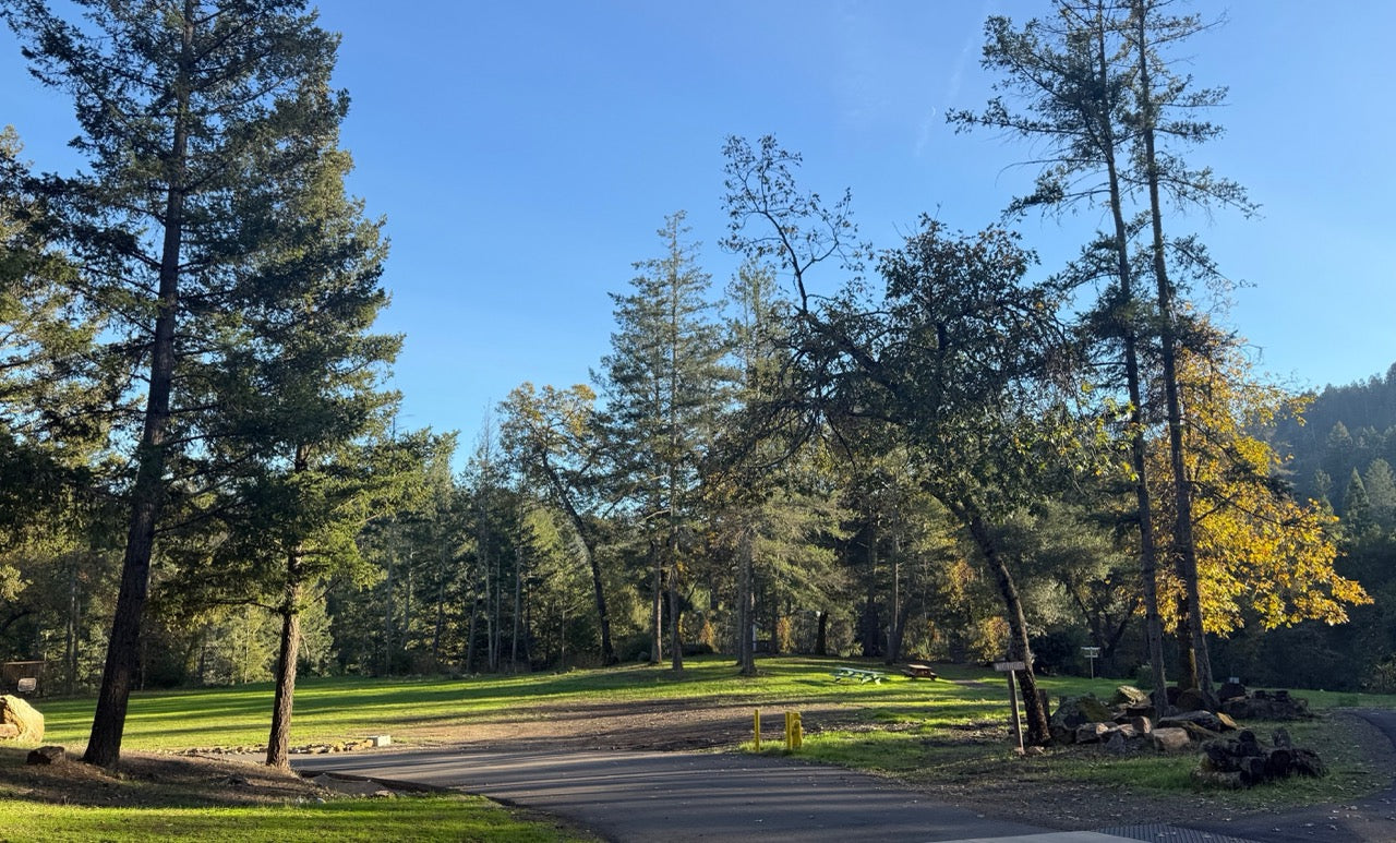 Scenic view of a forested tent camping area with trees and a clear blue sky.