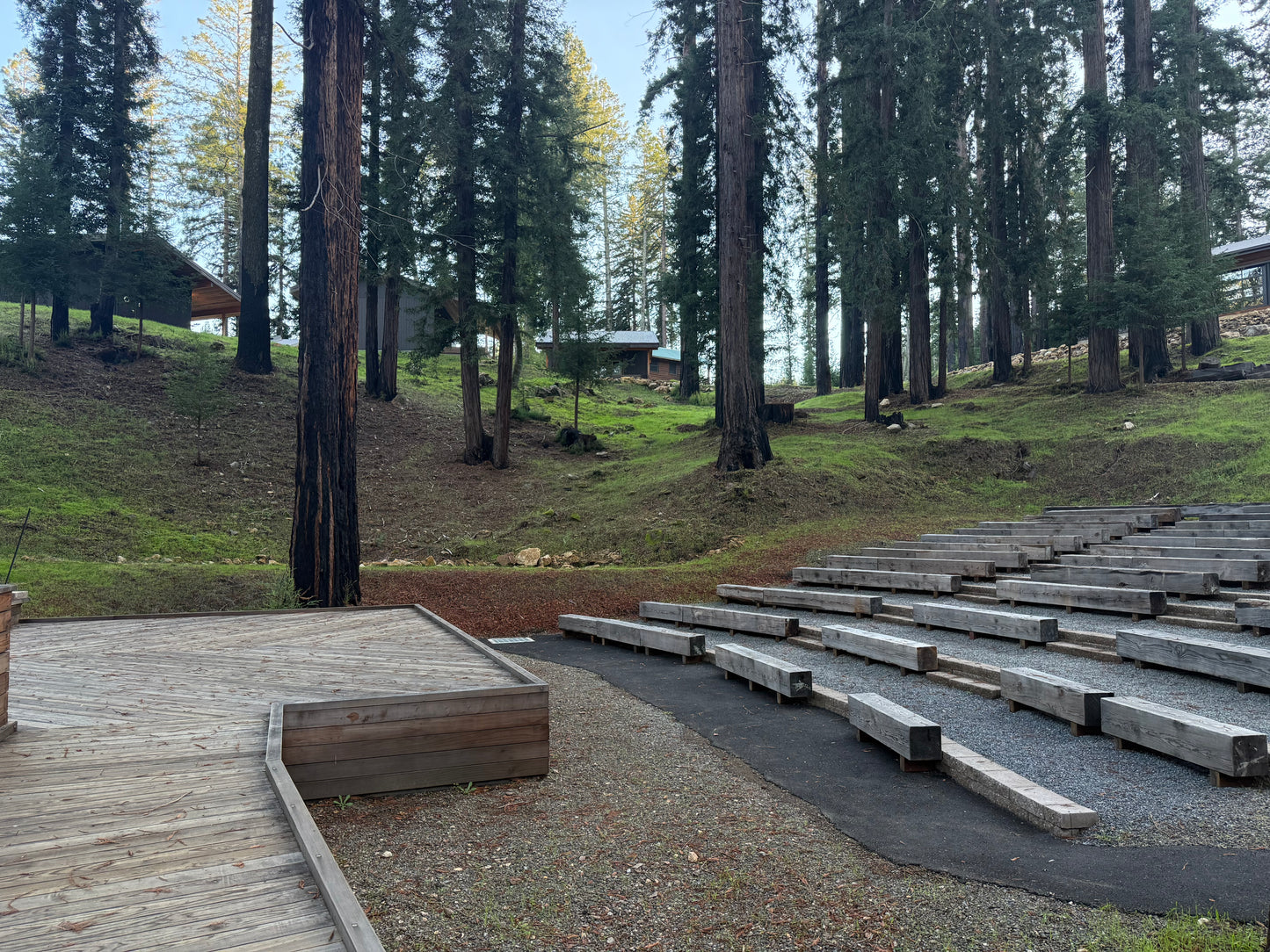 Wooden amphitheater setup in a forested area with trees and grass.