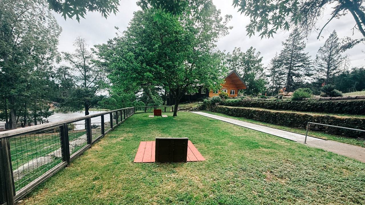 horseshoe court next to a lake