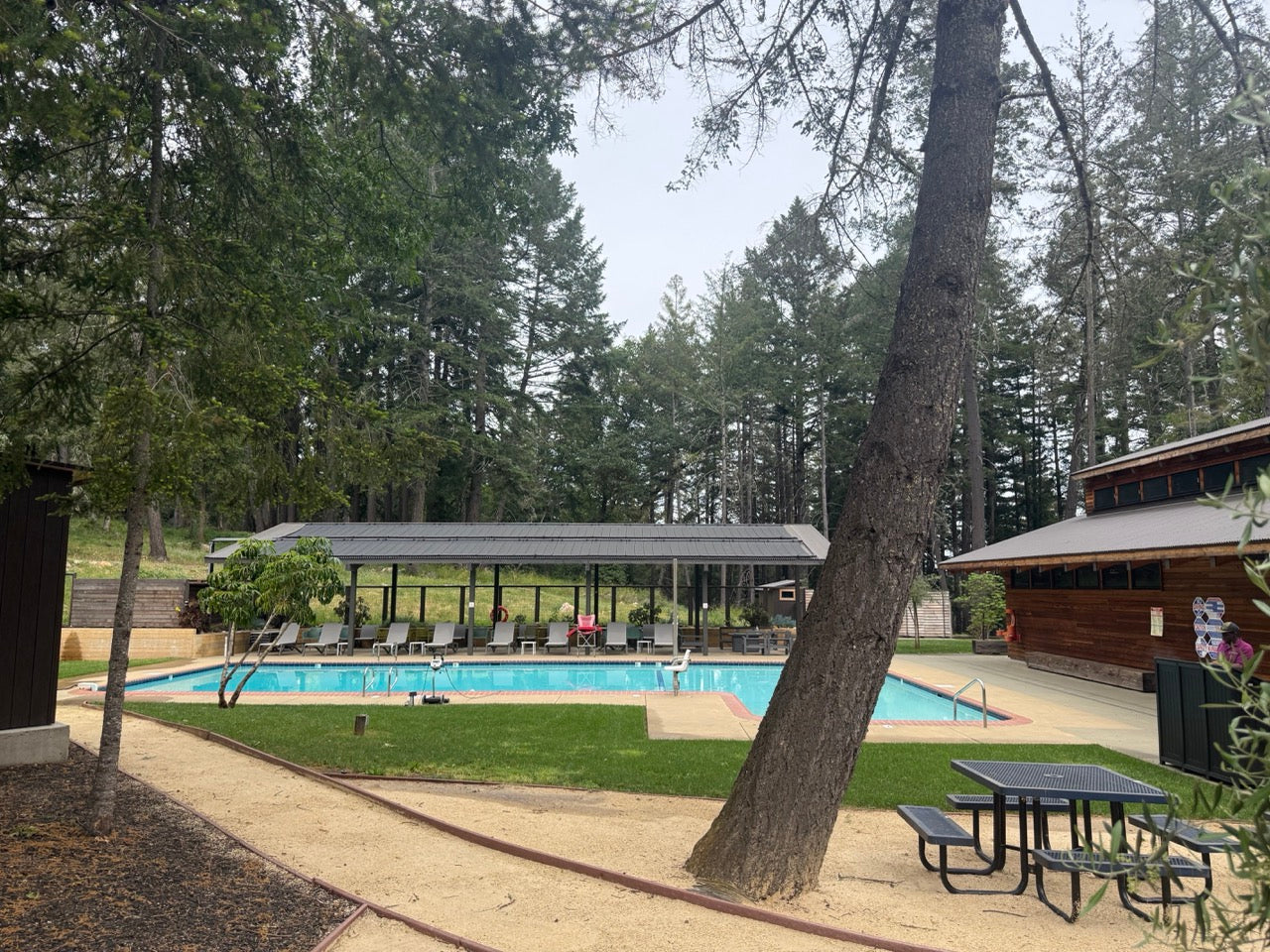 Outdoor pool area with picnic table, chairs, and trees in the background