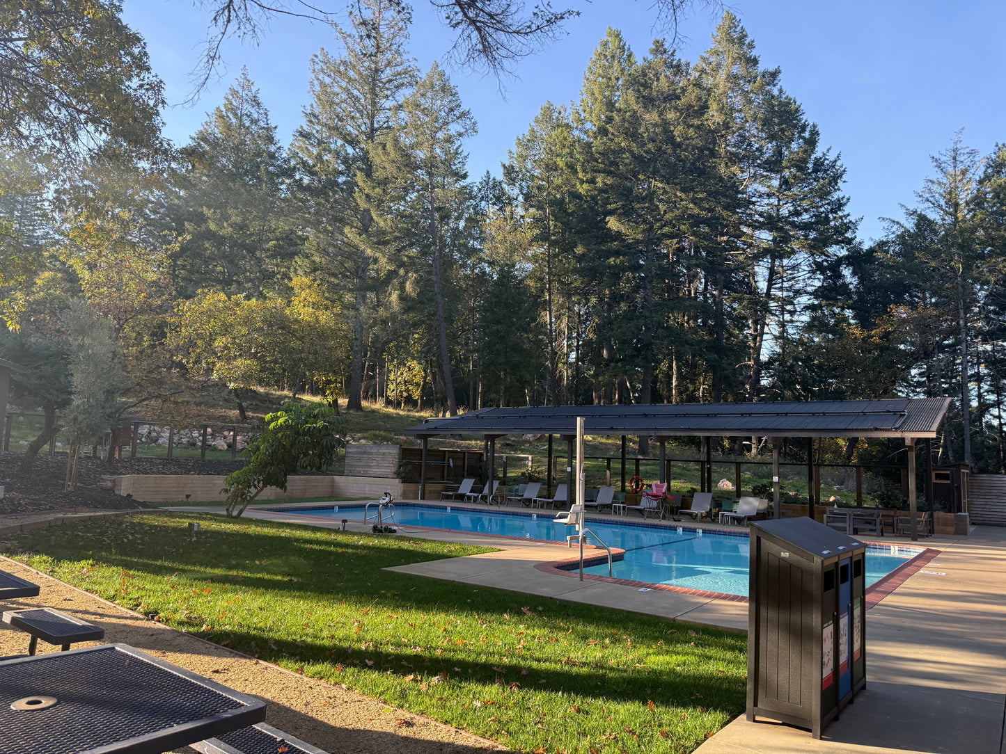 Pool area with lounge chairs, trees, and a building in the background
