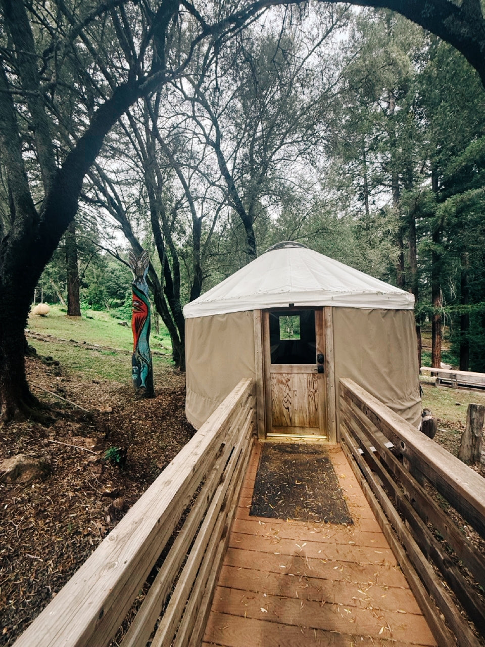 Yoga yurt with a wooden walkway surrounded by trees